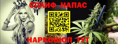 PSILOCYBIN Кингисепп