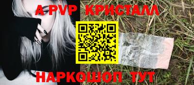 PSILOCYBIN Кингисепп