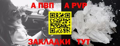 PSILOCYBIN Кингисепп
