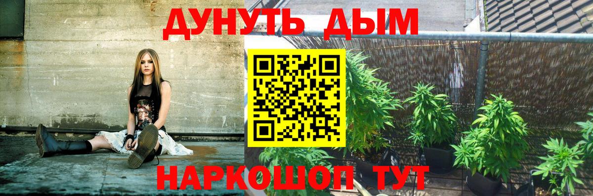 Канабис Amnesia Ялта